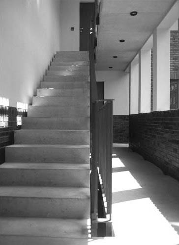 Photograph: Roman Ray